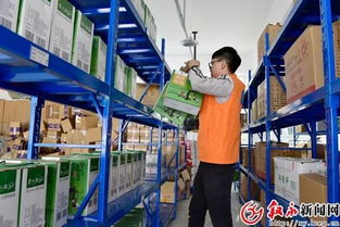 敢于争先，劳务服务开新局；蓄力前行，今后作为更可期
